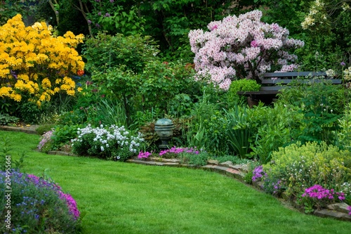 Fototapeta Naklejka Na Ścianę i Meble -  Rhododendron und Azalee im schönen Garten
