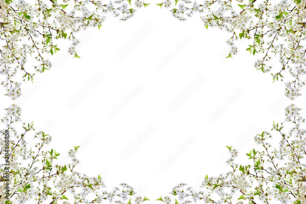 Frame with blooming cherry twigs on a white background. Frame with blooming cherry twigs on a white background.