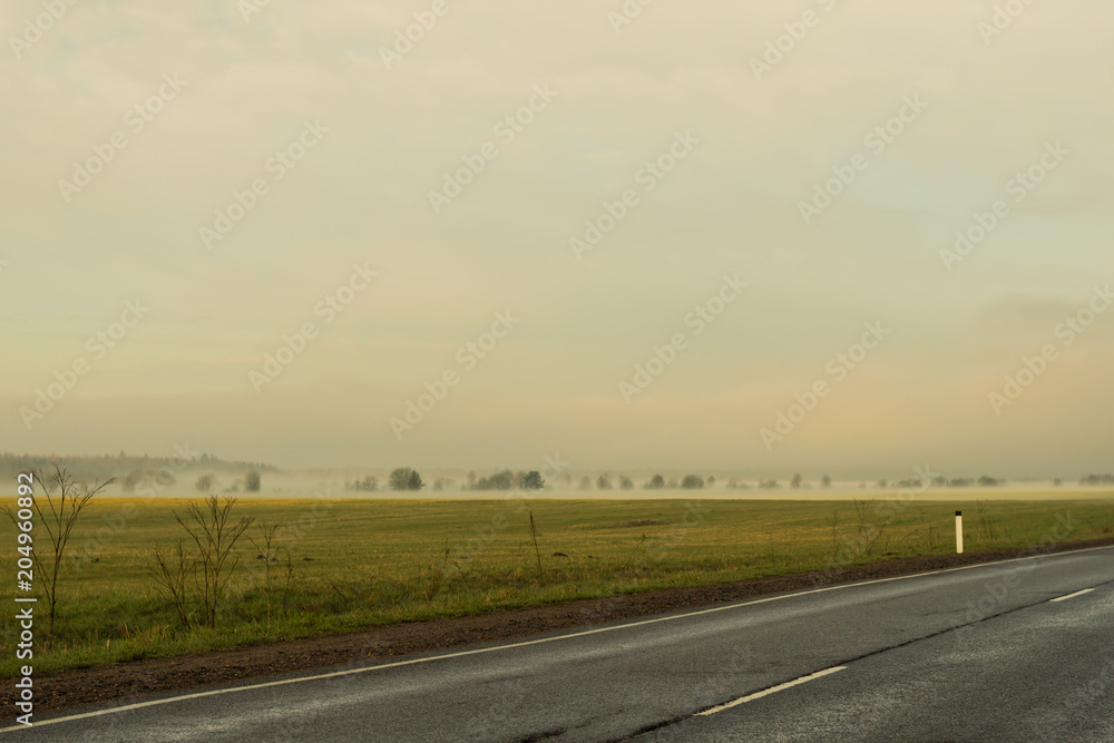 Empty road, fog on the field and forest on horizon