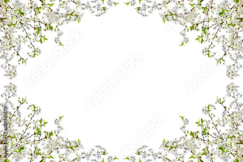 Frame with blooming cherry twigs on a white background.