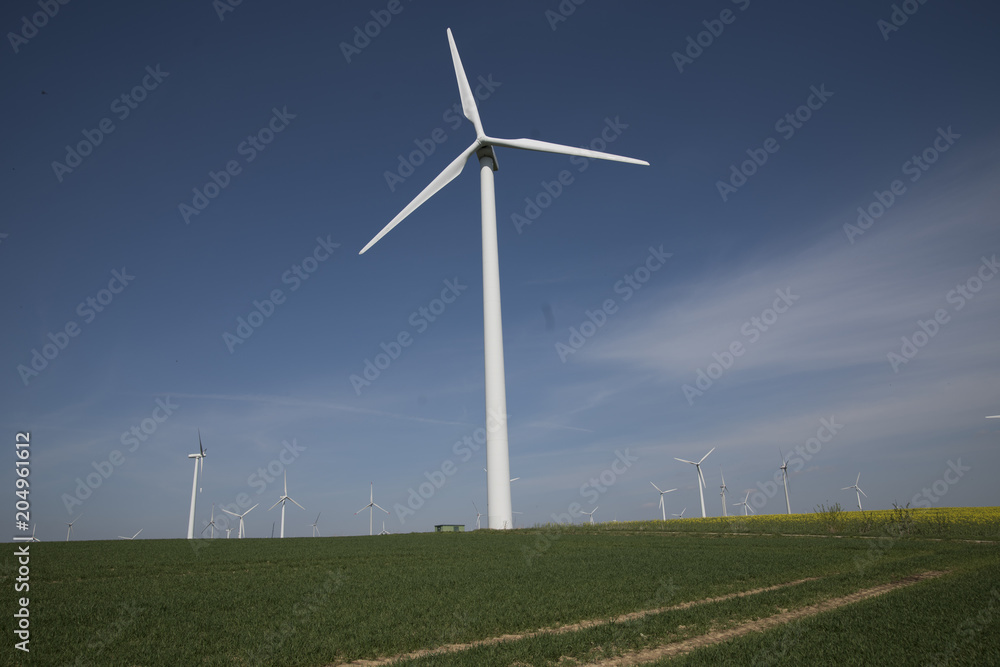 Large wind farm on agricultural area at Paderborn, North Rhine-Westphalia, Germany, Europe Large wind farm on agricultural area at Paderborn, North Rhine-Westphalia, Germany, Europe