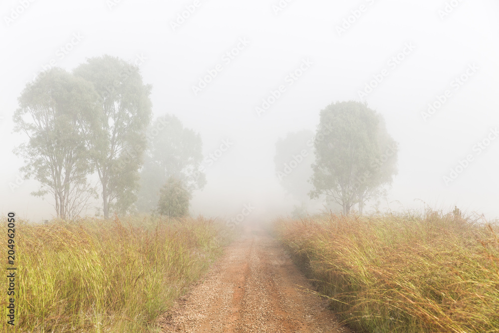 Fog over country road, Queensland, Australia Fog over country road, Queensland, Australia