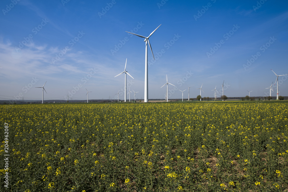 Large wind farm on agricultural area at Paderborn, North Rhine-Westphalia, Germany, Europe Large wind farm on agricultural area at Paderborn, North Rhine-Westphalia, Germany, Europe