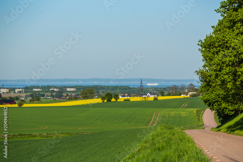Obraz na plátně Utsikt över åker med rapsfält och Öresund