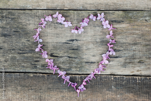 Spring flowers. Heart Shape from Lilac flowers Frame Heart Shape Textured rustic Gray wooden background. Top view, flat lay