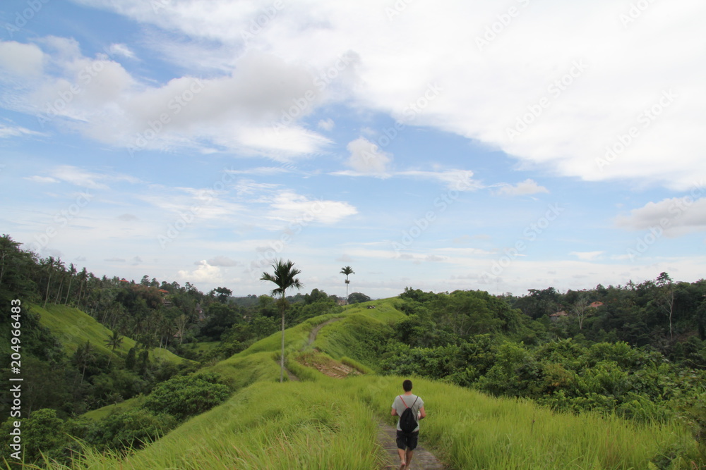 Walking fields