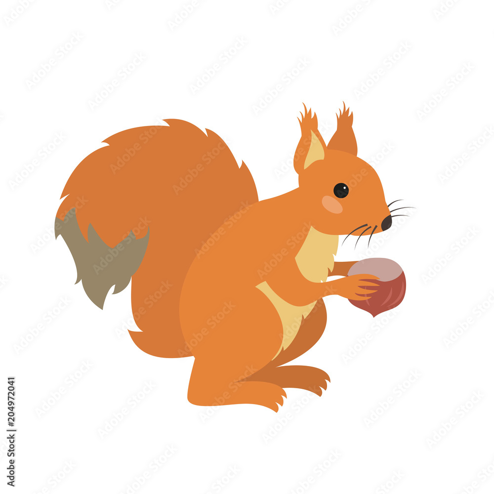 Obraz premium Cute squirrel on white background.