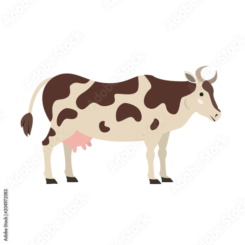 Cute cow on white background.