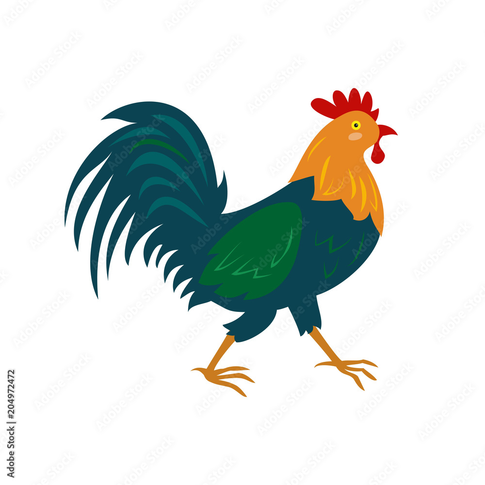 Fototapeta premium Cute rooster on white background.