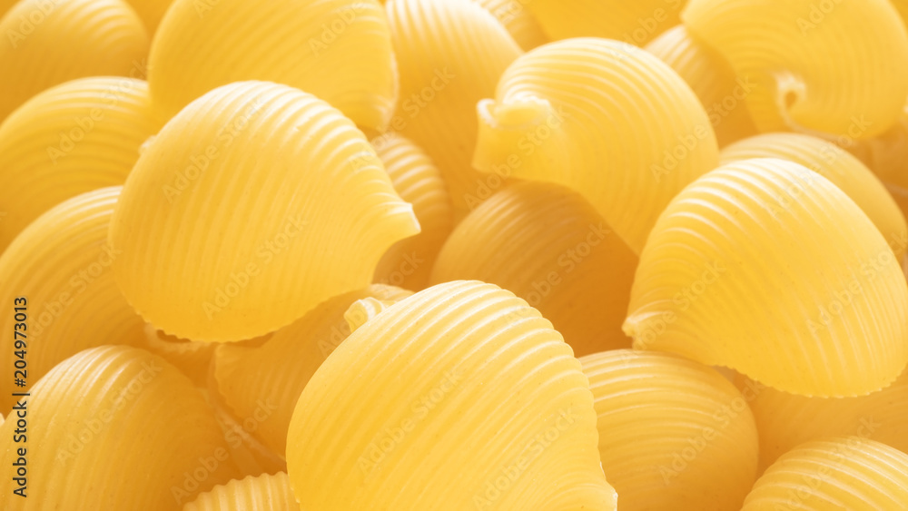 Food background Uncooked Macaroni Lumaconi Food background Uncooked Macaroni Lumaconi