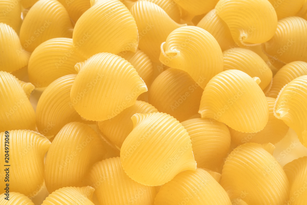 Food background Uncooked Macaroni Lumaconi Food background Uncooked Macaroni Lumaconi