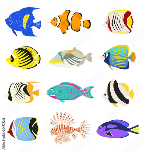 Set of cute tropical fishes on white background.