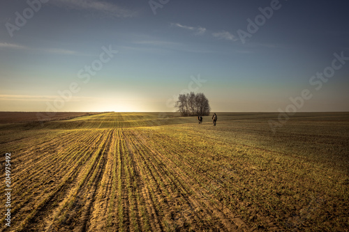 People going into the distance through rural field in forward direction during hunting season sunrise sky horizon countryside landscape