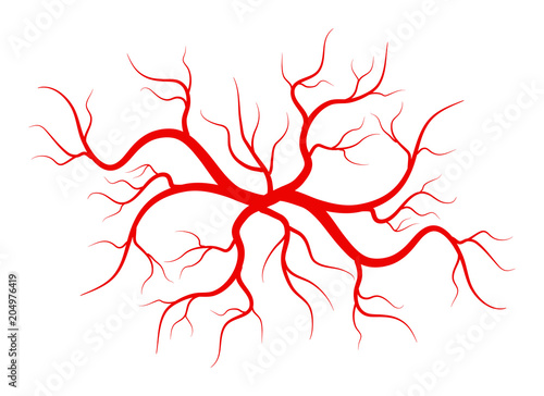 Creative vector illustration of red veins isolated on background. Human vessel, health arteries, Art design. Abstract concept graphic element capillaries. Blood system