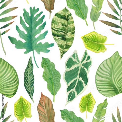 Green foliage seamless pattern with tropical exotic leafs © marialetta