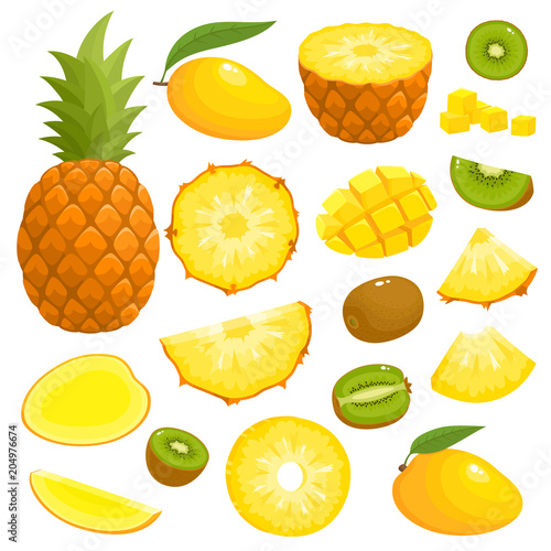 Bright vector set of pineapple, mango, kiwi isolated on white