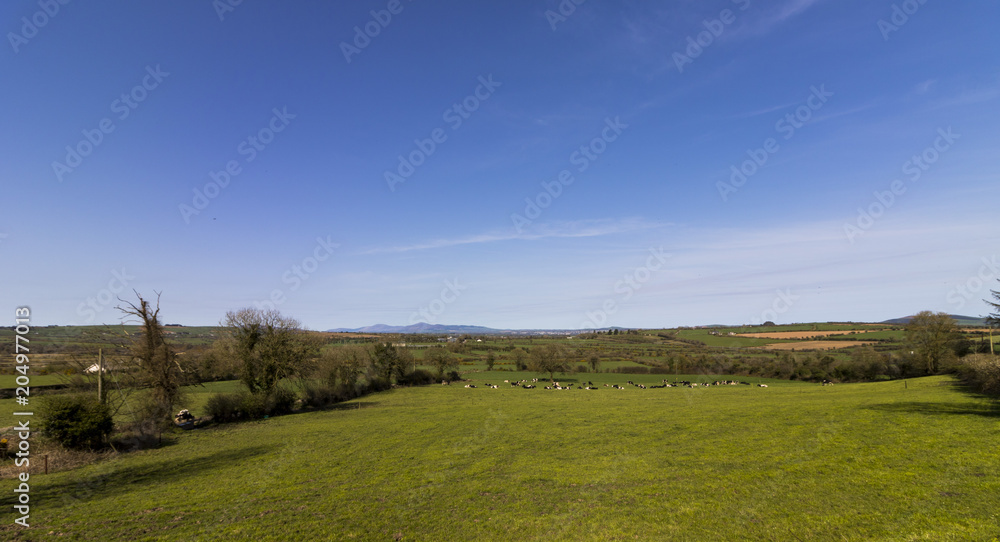 Fototapeta premium Cycling Tour