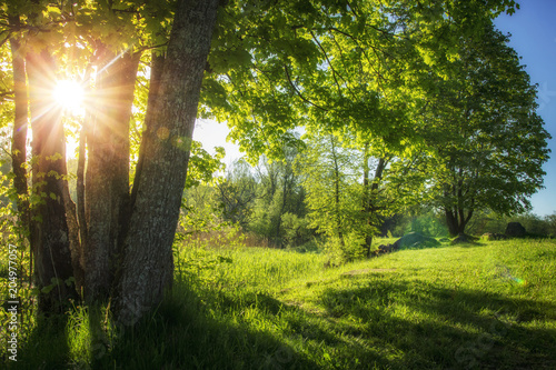 Obraz na płótnie Summer landscape of green nature with bright sun and clear blue sky in morning. Countryside view on scenery summer nature in sunny day. Green trees on river bank vibrant color. Natural rural scene w salonie
