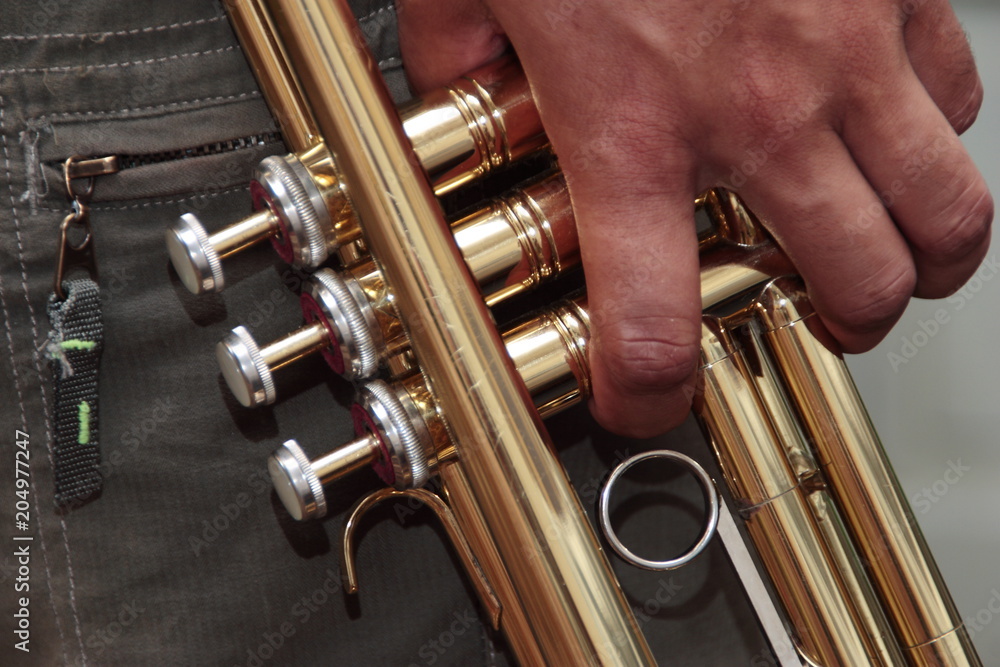 Obraz premium Closeup hand and trumpet 
