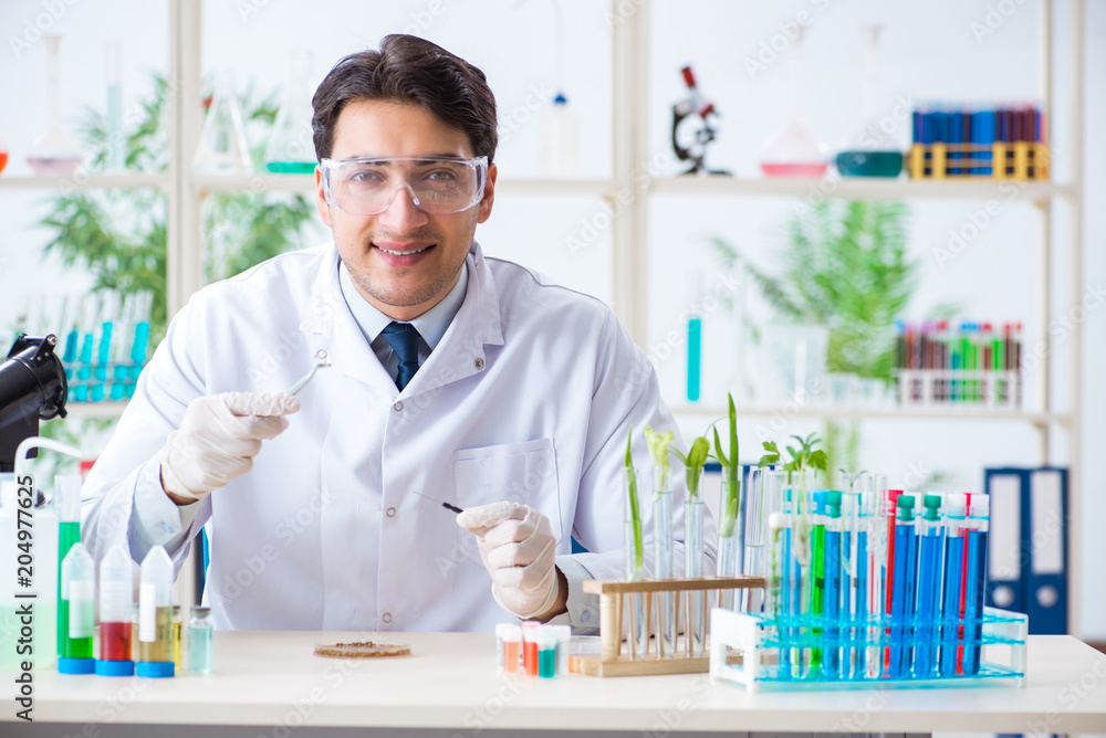 Male biochemist working in the lab on plants Male biochemist working in the lab on plants