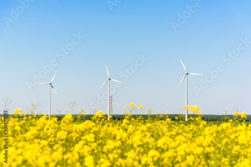 Three wind turbines against blue sky in the french countryside, with a blurry field of rapeseed in bloom in the foreground, produce clean electricity from the energy of the wind.