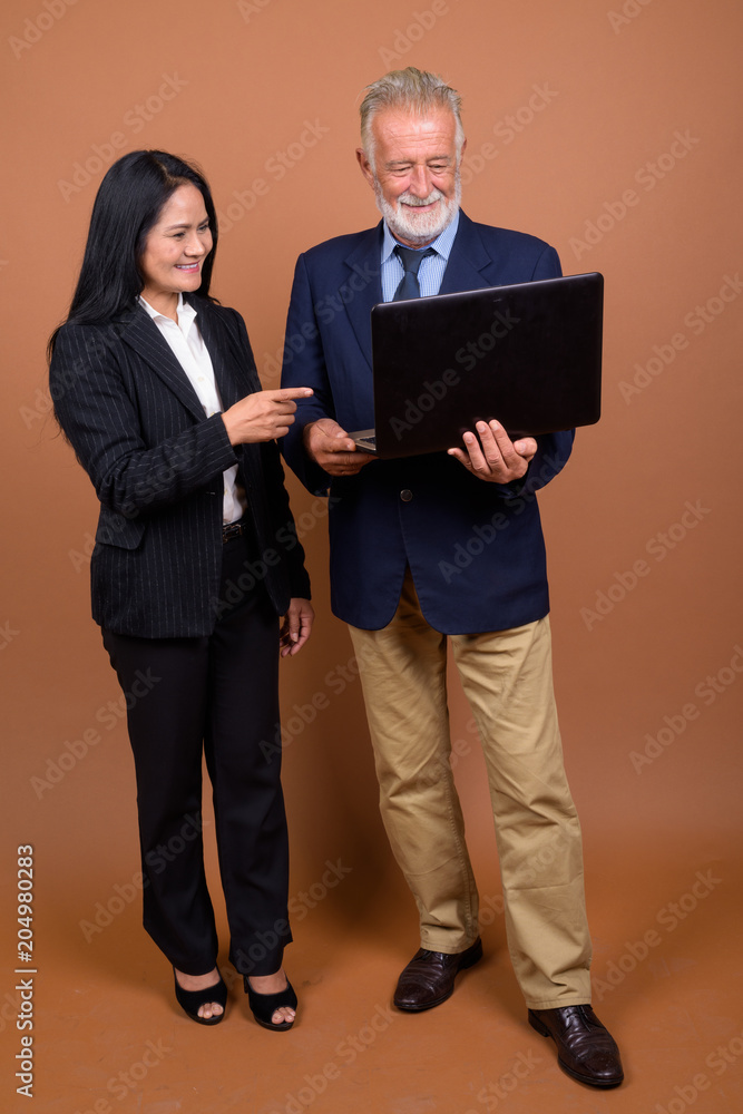 Fotografie Mature multi-ethnic business couple against brown background
