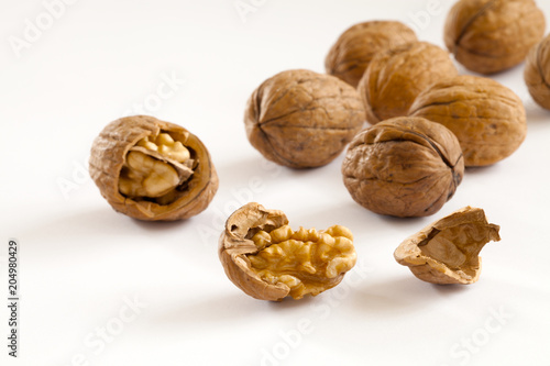 walnut over white background
