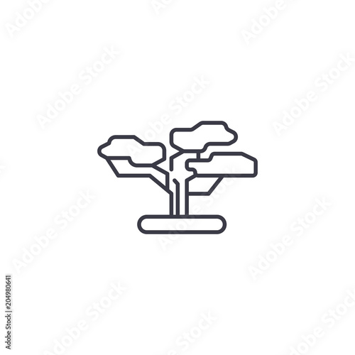 Baobab linear icon concept. Baobab line vector sign  symbol  illustration.