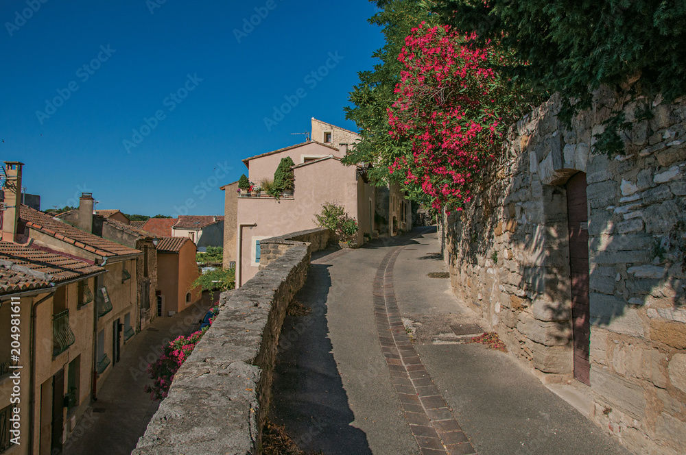 View of traditional stone houses and flowers on a street at sunrise, in Chateauneuf-de-Gadagne. Located in the Vaucluse department, Provence-Alpes-Côte d'Azur region, southeastern France