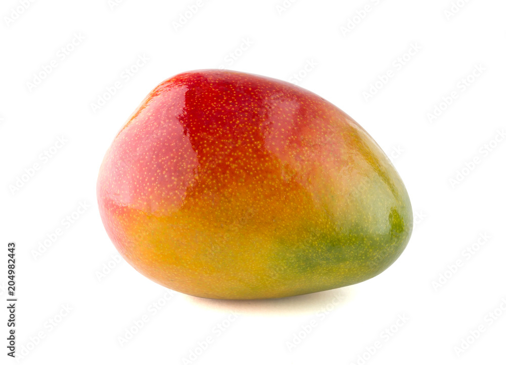 Fresh mango on white background. A whole mango fruit isolated on white background. Fresh mango on white background. A whole mango fruit isolated on white background.