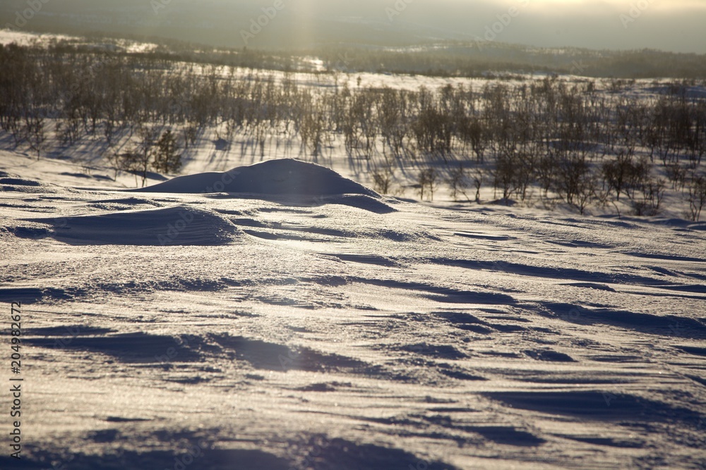 Obraz premium crosscountry skiing in northern lapland beautiful nature