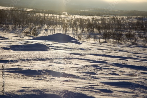 crosscountry skiing in northern lapland beautiful nature © luciezr