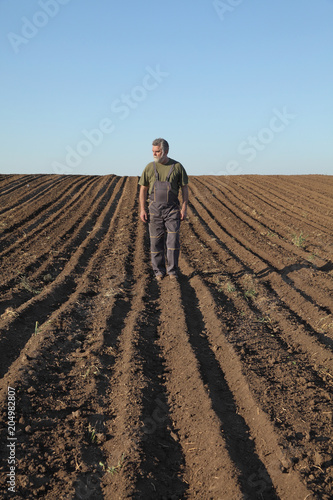 Farmer walking in cultivated field ready for sowing and examining it