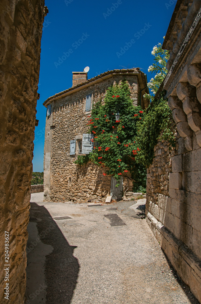 View of typical stone houses with sunny blue sky and flowers, in an alley of the historical village of Menerbes. In the Vaucluse department, Provence-Alpes-Côte d'Azur region, southeastern France