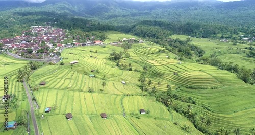 Wallpaper Mural Aerial view of rice terrace. Flight over of Jatiluwih rice field - October 2017: Bali, Indonesia Torontodigital.ca