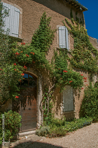 Close-up of typical stone house facing a yard, with sunny blue sky and flowers at the village of Menerbes. In the Vaucluse department, Provence-Alpes-Côte d'Azur region, southeastern France © Celli07