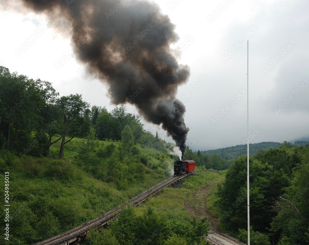 Fototapeta premium Mt. Washington Train
