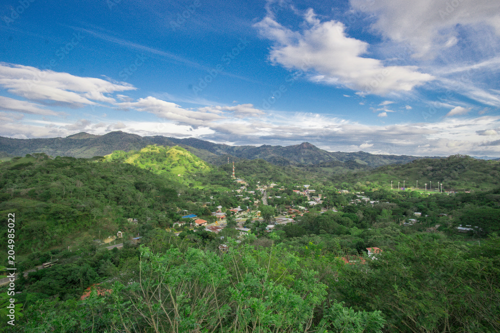 landscape with a large green forest and a city in the distance