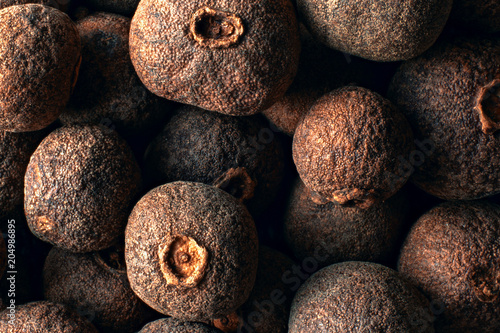 Composition of allspice dried berries photo