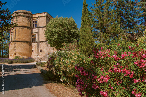 View of the Lourmarin Castle with flower bush in the foreground  near the village of Lourmarin. In the Vaucluse department  Provence-Alpes-C  te d Azur region  southeastern France