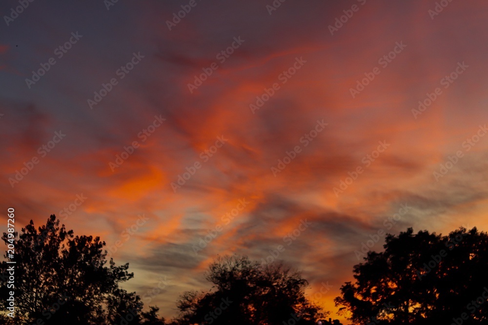 Fototapeta premium Sunset