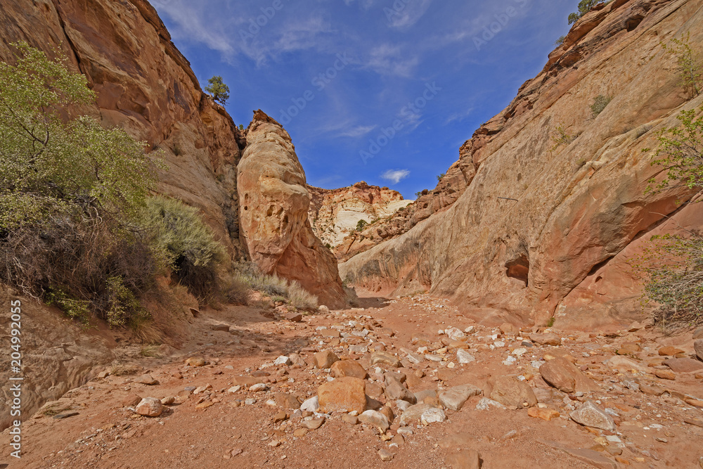Jumbled Rocks in Desert Streambed