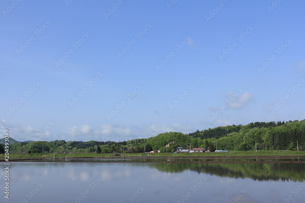 Obraz premium 田舎の風景 田んぼの水面に反射する青空 秋田県