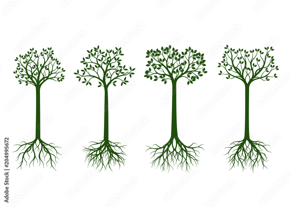 Fototapeta premium Set of green Trees with Leaves and root on black background.