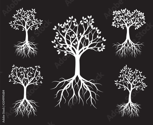 Set of white Trees with Leaves and root on black background.