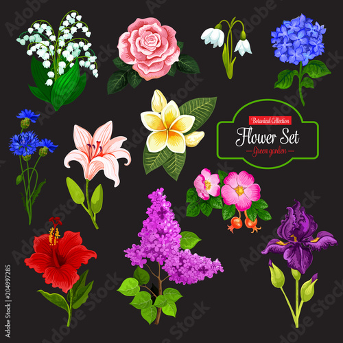 Flower icon of garden and tropical flowering plant