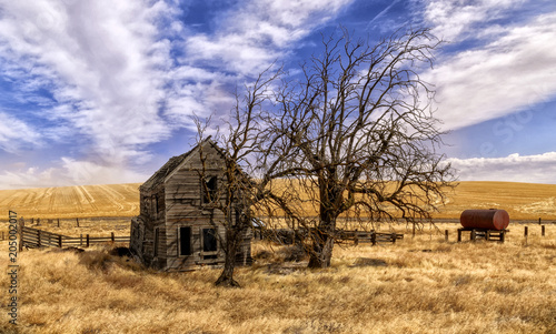 Heavy winds carry dust over wheat fields off McDermid Lane in Sherman County, Oregon.