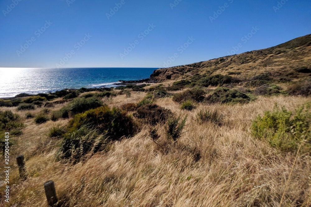 Relaxing beautiful landscape