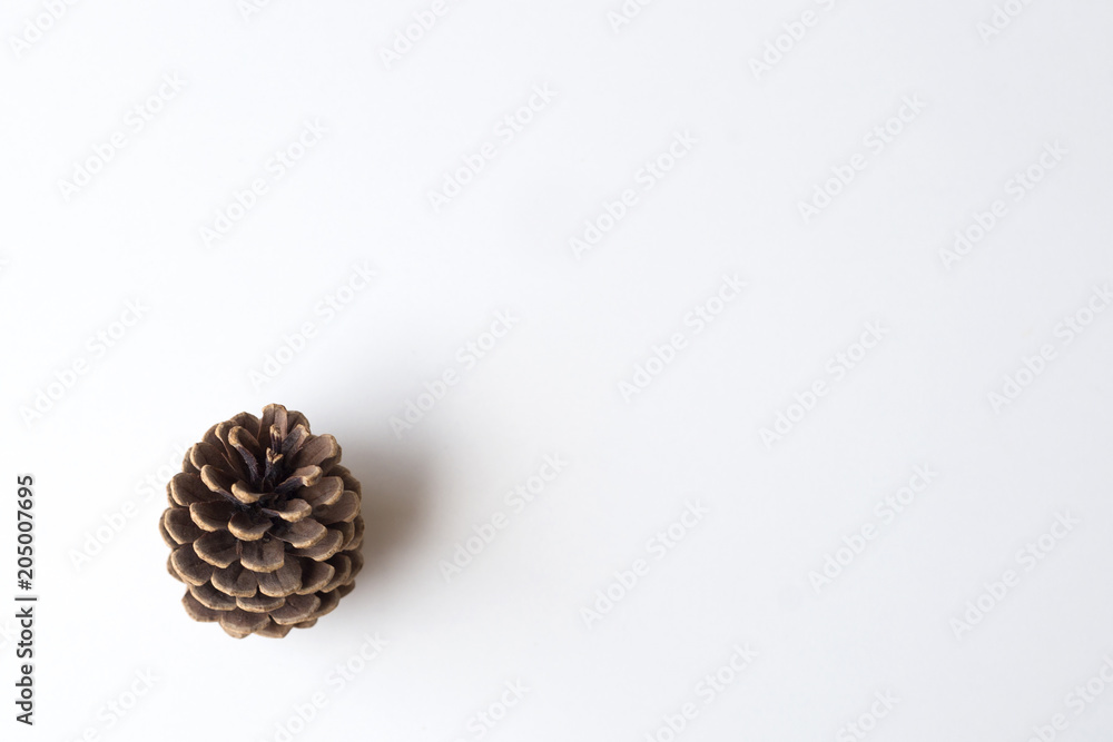 Christmas pinecone fir isolated with white background Christmas pinecone fir isolated with white background