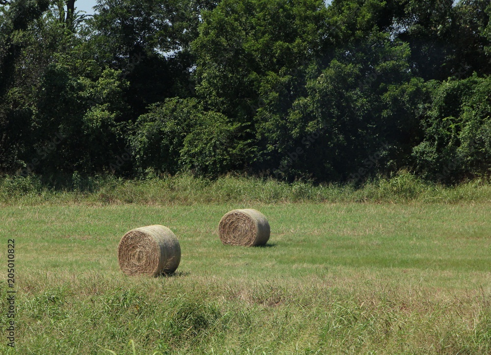 Hay rolls Two rolls of hay bales in a green farmland, with trees in the background